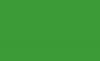 Студійний фон паперовий BD 132 Veri green 2.72 x 11м, зелений