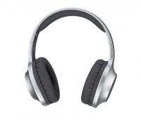 Навушники Panasonic RB-HX220BEES Over-ear Wireless Mic Silver