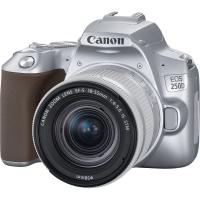 Фотокамера цифрова дзеркальна Canon EOS 250D kit 18-55 IS STM Silver