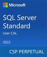 Програмний продукт Microsoft SQL Server 2022 - 1 User CAL