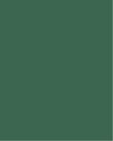 Фон студійний паперовий Visico P-12 Deep green 2.75 x 10 м, темно-зелений